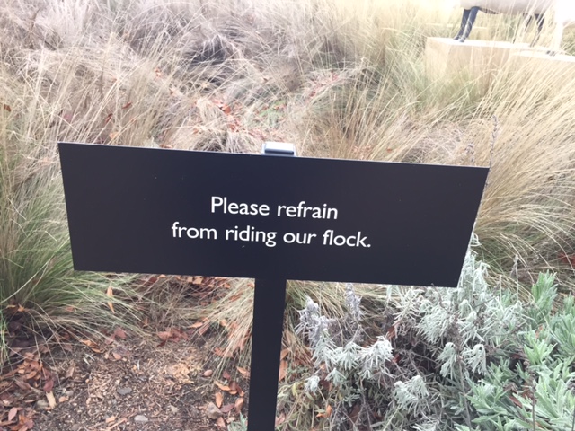 Hall Winery Flock Signage