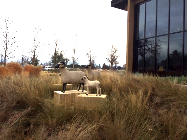 Hall Winery Sheep Scuplture